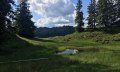 Hochmoor