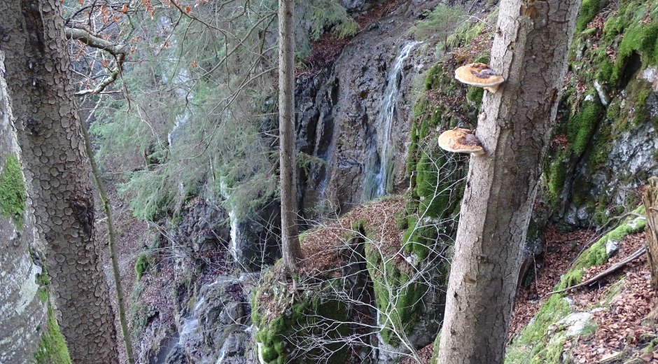 Auf der Tour "Rund um dem Ochsenberg"
