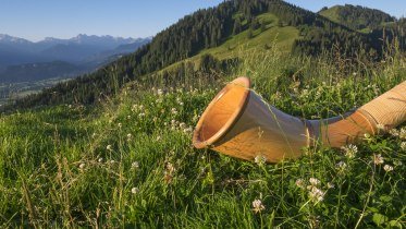 Alphorn © Tourismus Hörnerdörfer, K.P.Kappest