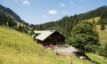 Die Herzbergalpe mit Sonnenterrasse © Tourismus Hörnerdörfer, F. Kjer