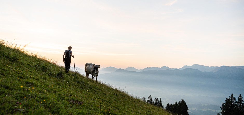 Die Wanderung führt vorbei an Alpweiden © Tourismus Hörnerdörfer - F. Kjer