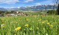 Blick auf Ofterschwang und die Sonnenköpfe © Tourismus Hörnerdörfer GmbH