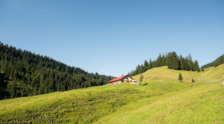 Schwabenalpe bei Obermaiselstein © Tourismus Hörnerdörfer, F. Kjer