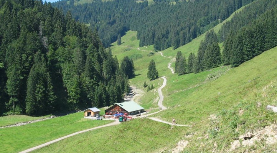 Alpe Zunkleiten nach Bolgen © Tourismus Hörnerdörfer, MA