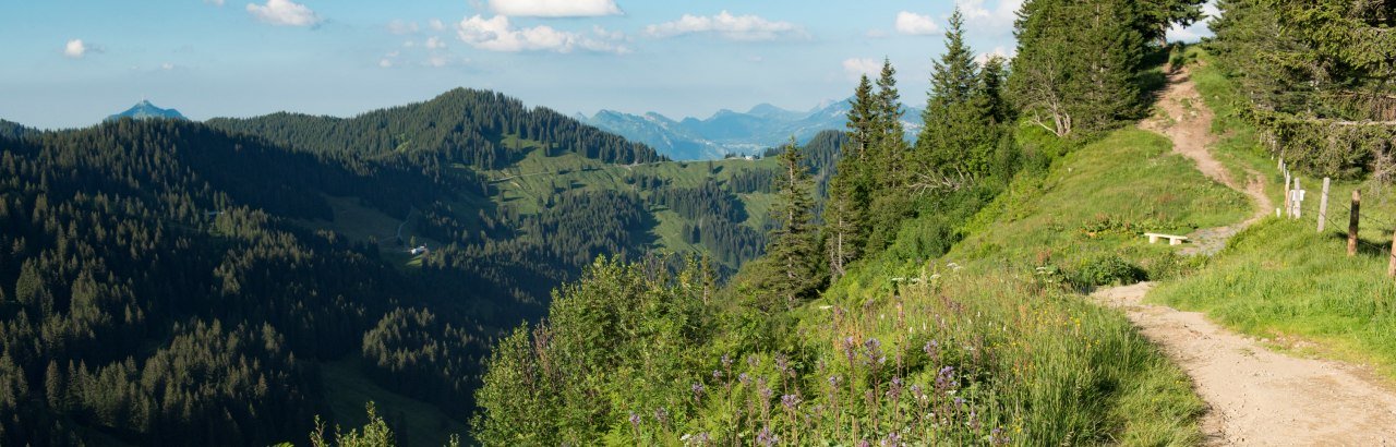 Bolsterlang - Wanderweg am Lochbachtal © Tourismus Hoernerdoerfer GmbH, @Kappest