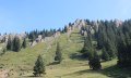 Blick nach oben, Nagelfluhkette