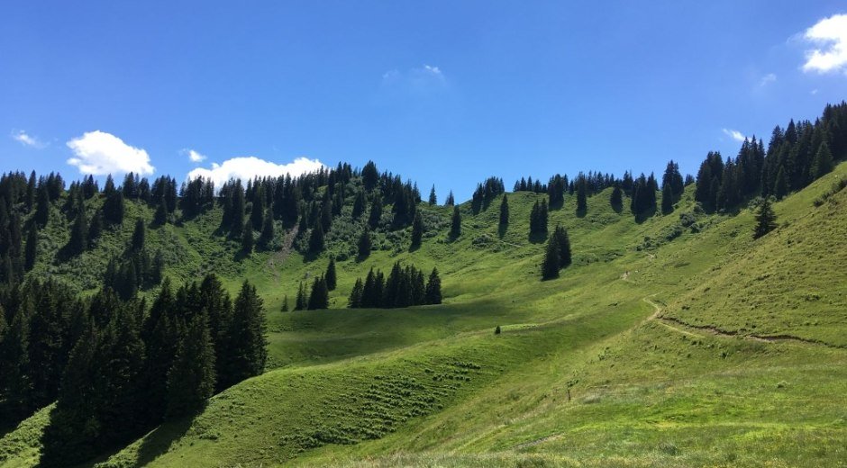 Hörner Panorama Tour - Rundwanderung ab Bolsterlang oder Ofterschwang © Tourismus Hörnerdörfer GmbH
