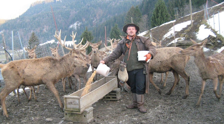 Alpenwildpark in Obermaiselstein - Fütterung © Tourismus Hörnerdörfer