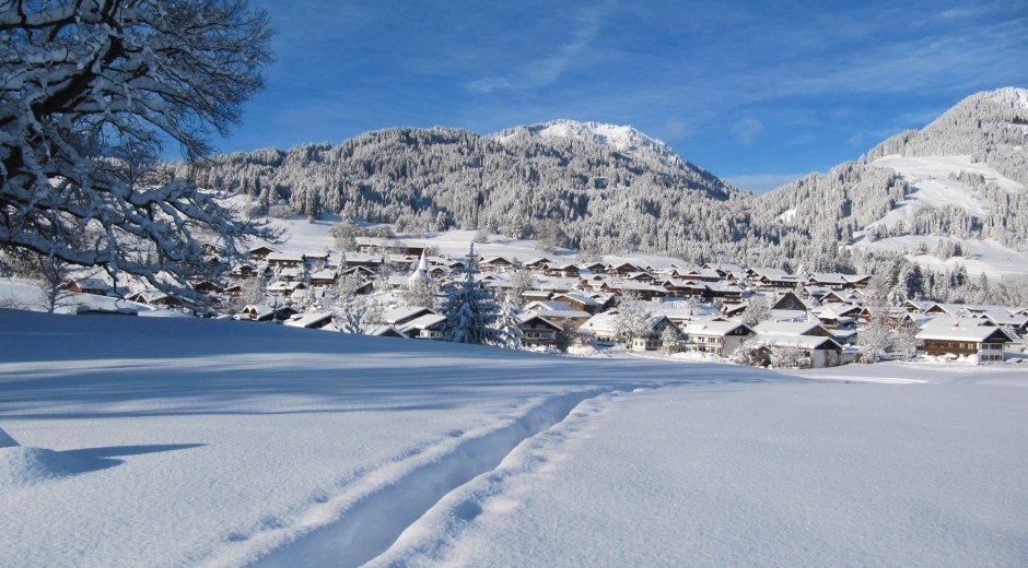Panorama auf Obermaiselstein © Tourismus Hörnerdörfer, MA