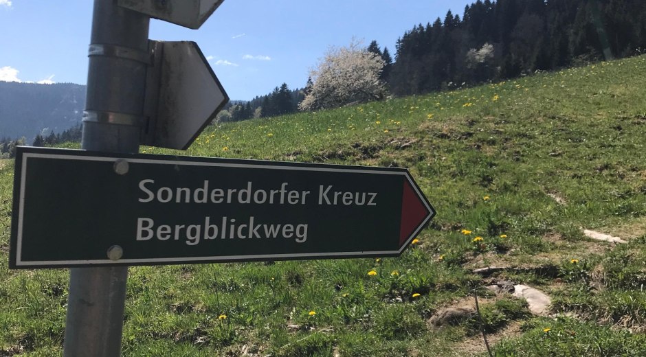 Wegweiser Richtung Sonderdorfer Kreuz und Bergblickweg