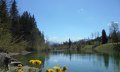 Frühling am Auwaldsee in Fischen im Allgäu © Tourismus Hörnerdörfer_H.Besler