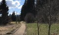 Feldweg zurück nach Bolsterlang