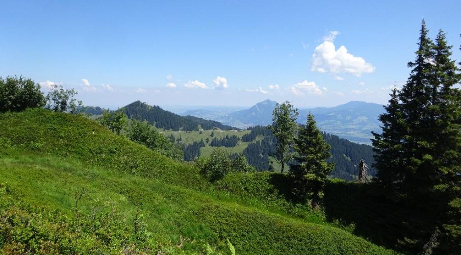 Wannenkopf-Wandertour ab Bolsterlang © Tourismus Hörnerdörfer