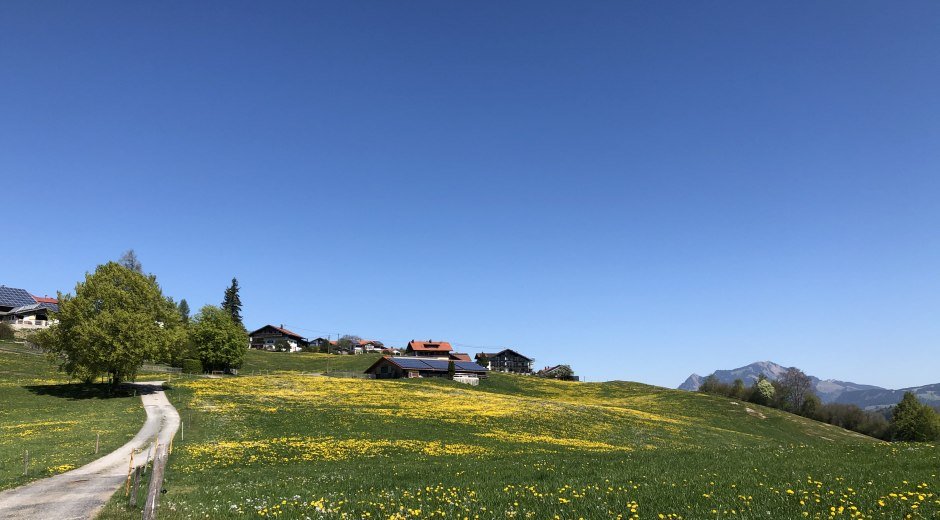 Blick nach Maderhalm © Tourismus Hörnerdörfer GmbH