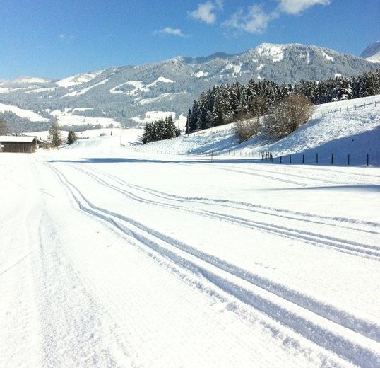 Langlaufen und Skating auf der "Grüner Weg"- Loipe in Fischen © Tourismus Hörnerdörfer GmbH