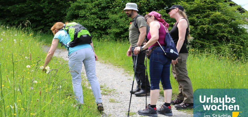 Kräuterwanderung © Tourist Information Immenstadt © Tourist Information Immenstadt