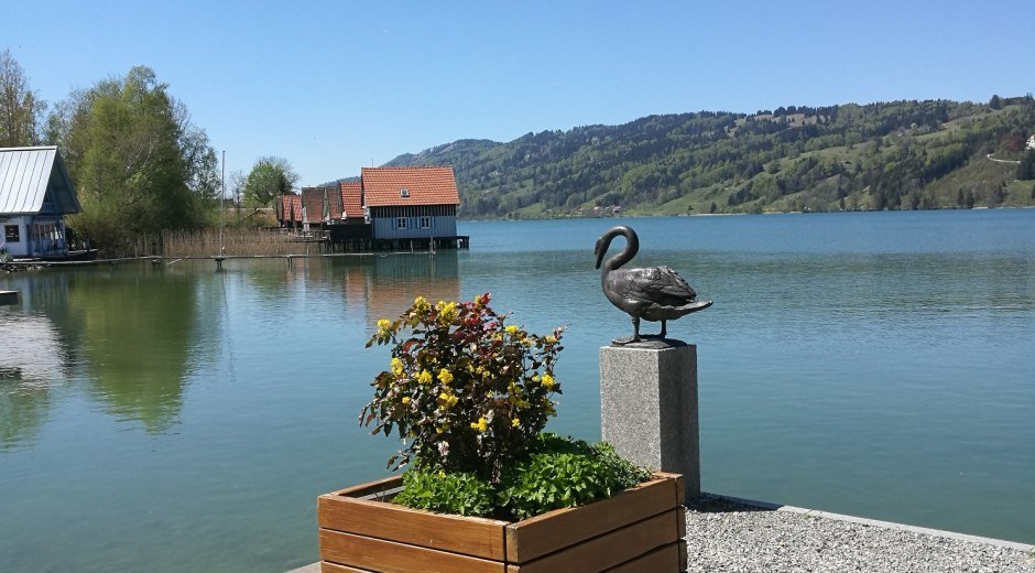 Das Ziel der Alpsee © Tourismus Hörnerdörfer GmbH