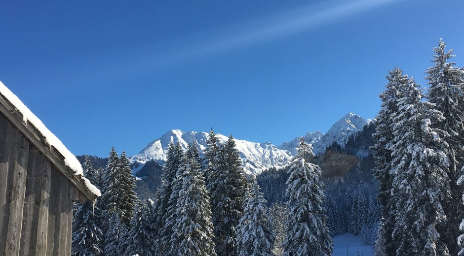 Blick auf das Rubihorn