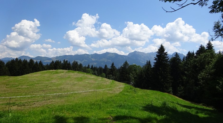 Über Wald- und Wiesenwege führt der Weg bis nach Kierwang © Tourismus Hörnerdörfer GmbH