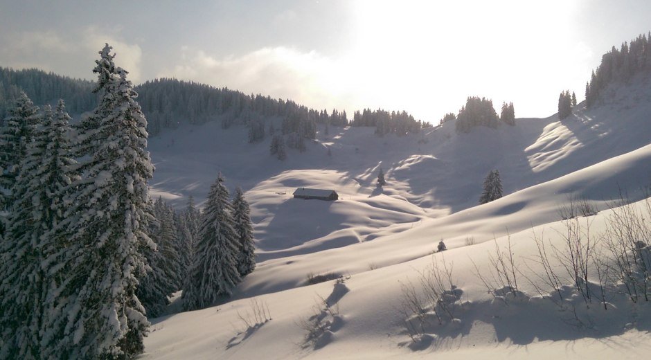Winterwandern Burgl-Hütte - Balderschwang