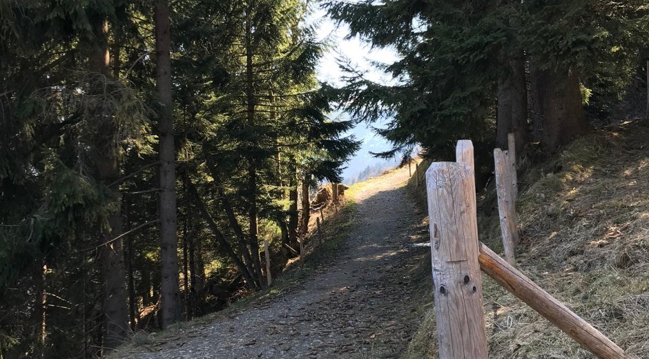 Weg zum Sonderdorfer Kreuz