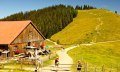 Fahnengehren Alpe © Tourismus Hörnerdörfer, S. Nitschke