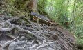 Ruhebank im Wald