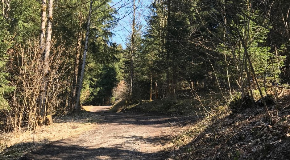 Amselweg © Tourismus Hörnerdörfer, L. Renn