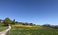 Blick nach Maderhalm © Tourismus Hörnerdörfer GmbH