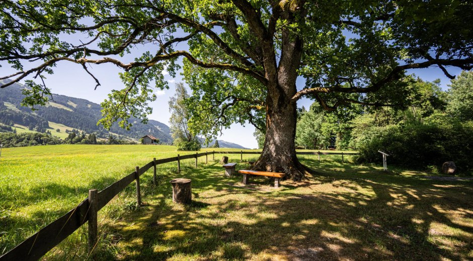 Ort der Besinnung - Obermaiselstein © Tourismus Hörnerdörfer GmbH