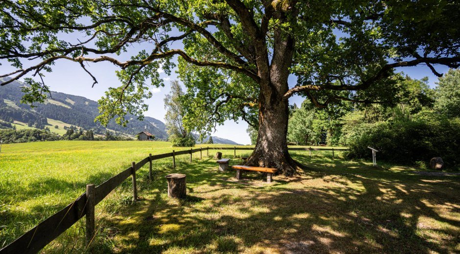 Ort der Besinnung - Obermaiselstein © Tourismus Hörnerdörfer GmbH