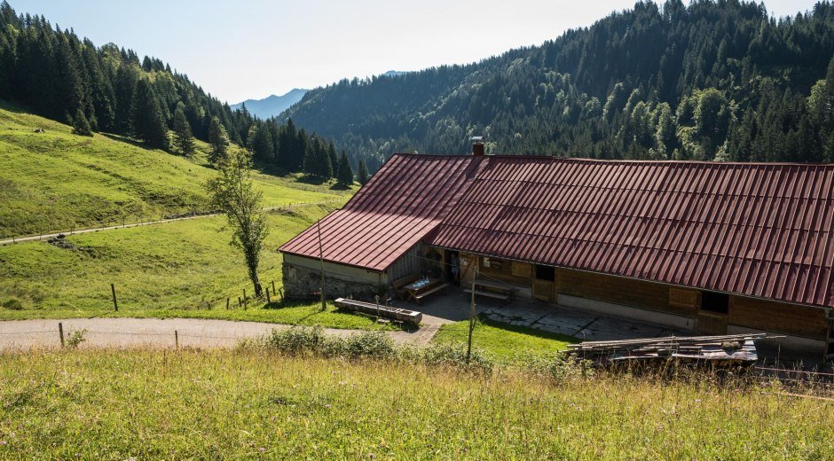 Blick auf die Alpe im Lochbachtal © Tourismus Hörnerdörfer, F. Kjer