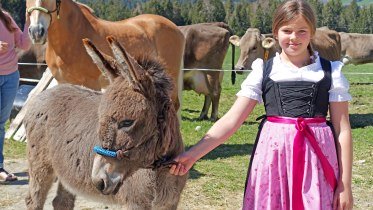 Eselpärchen Jockel und Jule © Tourismus Hörnerdörfer GmbH