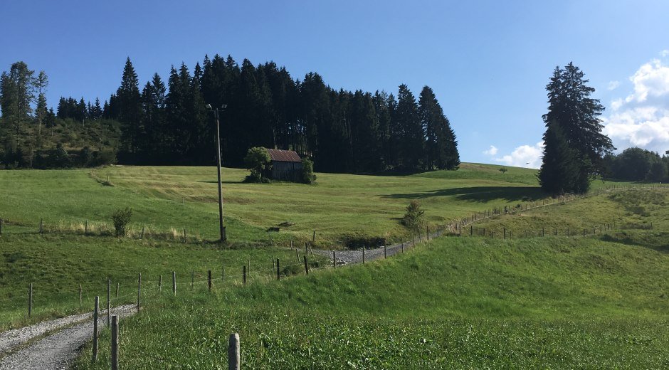 Grüner Weg