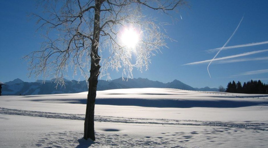 Winterwandern Hochwiesweg Runde - Ofterschwang