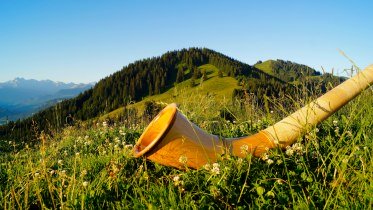 Alphorn am Ofterschwanger Horn © Tourismus Hörnerdörfer GmbH