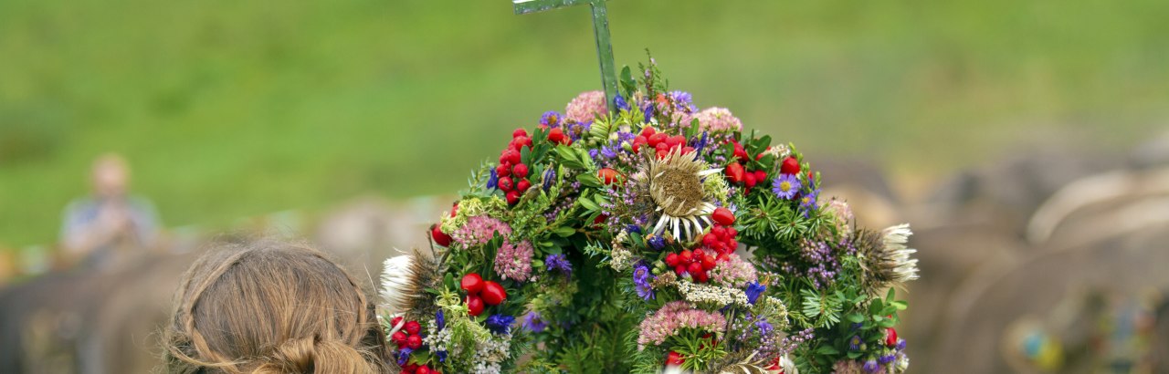 Kranzkuh beim traditionellen Almabtrieb/ Viehscheid im Allgäu. © Dominic Ultes