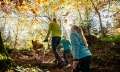 Wandern im Herbst in den Hörnerdörfern © Tourismus Hörnerdörfer, F. Kjer