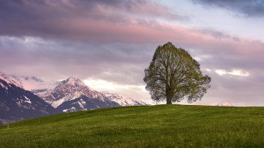 Blick auf die Wittelsbacher Höhe